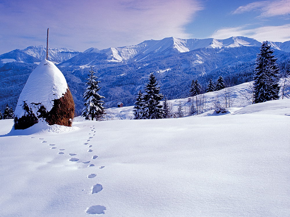 zur &Uuml;bersicht Spuren 2 