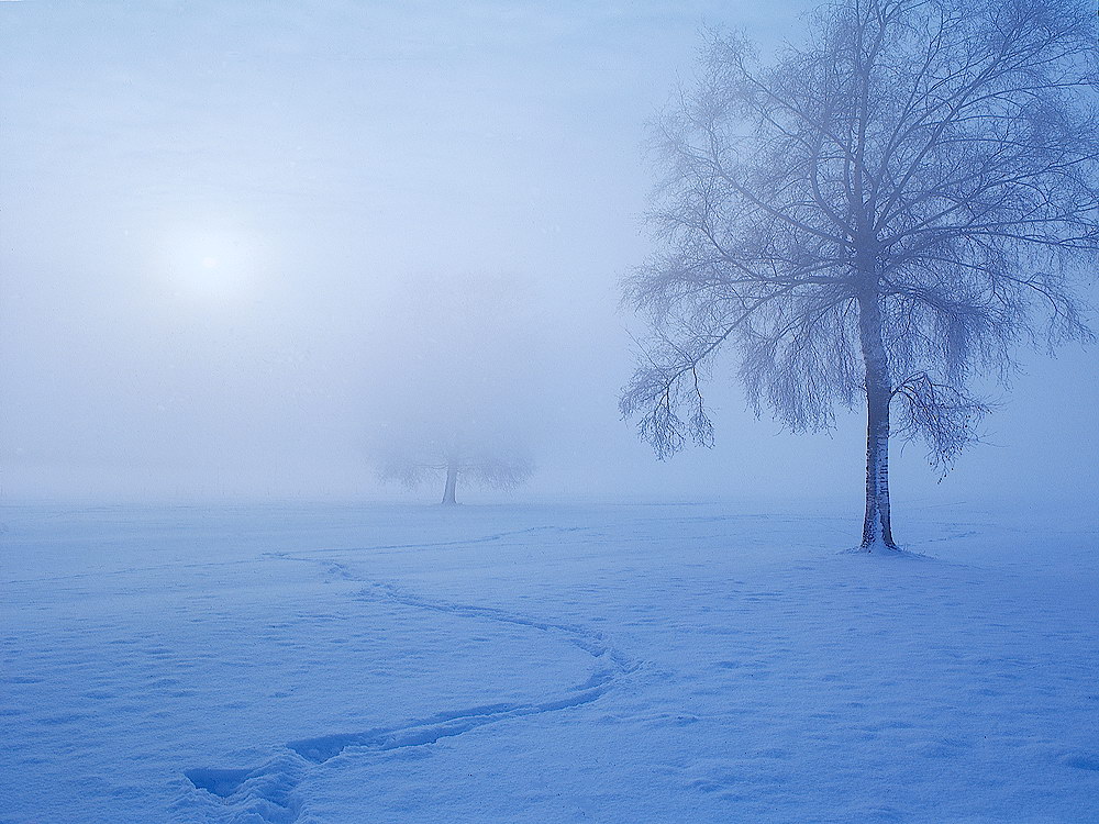 zur &Uuml;bersicht Spuren 2 