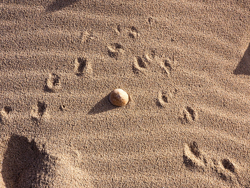 zur &Uuml;bersicht Spuren 3