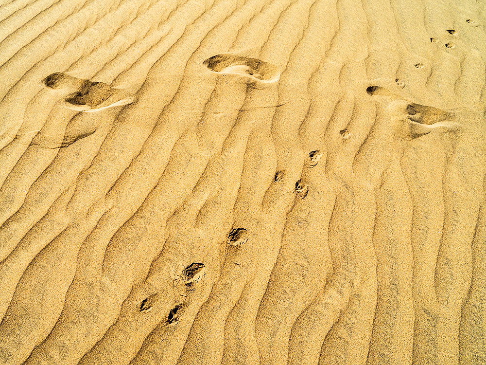 zur &Uuml;bersicht Spuren 3