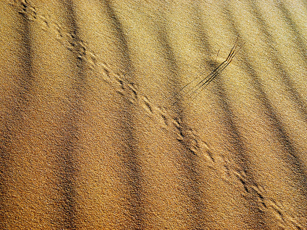 zur &Uuml;bersicht Spuren 3