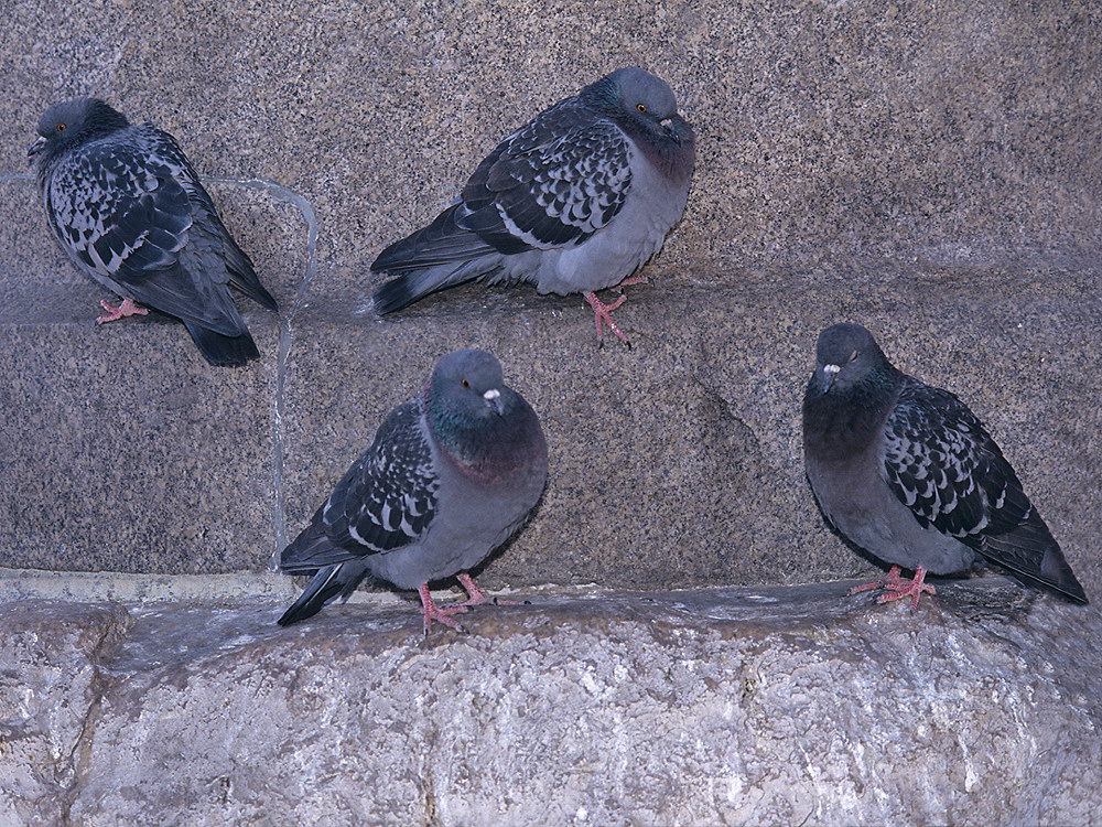 zur &Uuml;bersicht Stufen 3