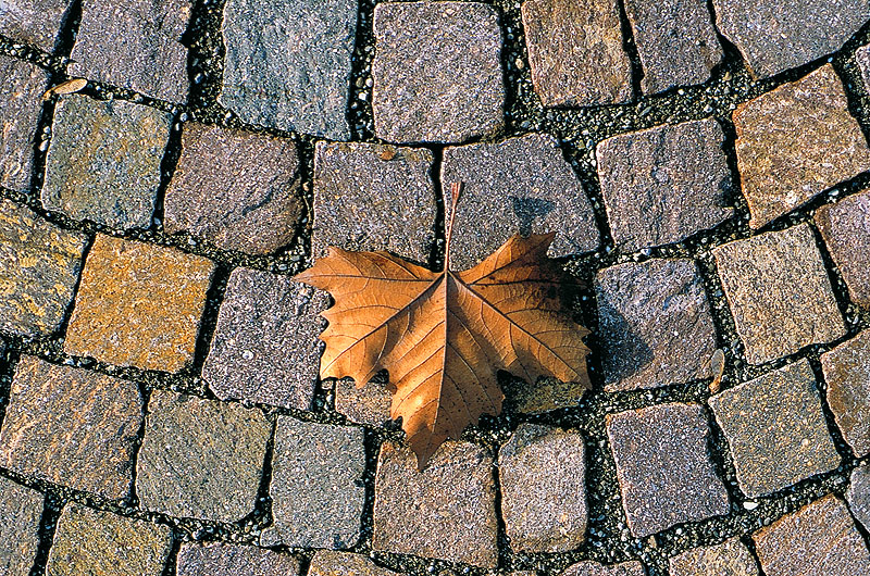 zur Übersicht Weg & Steg 4