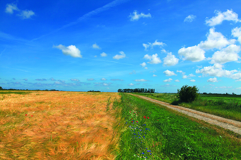 zur Übersicht Weg & Steg 5