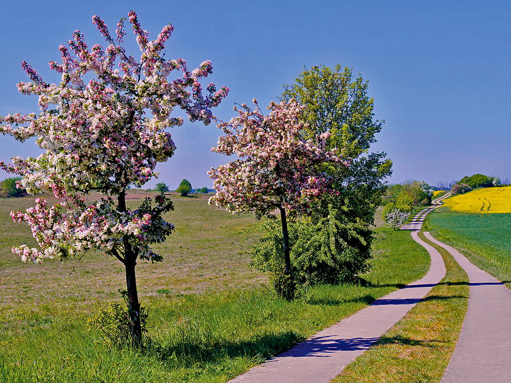 zur Übersicht Weg & Steg 6