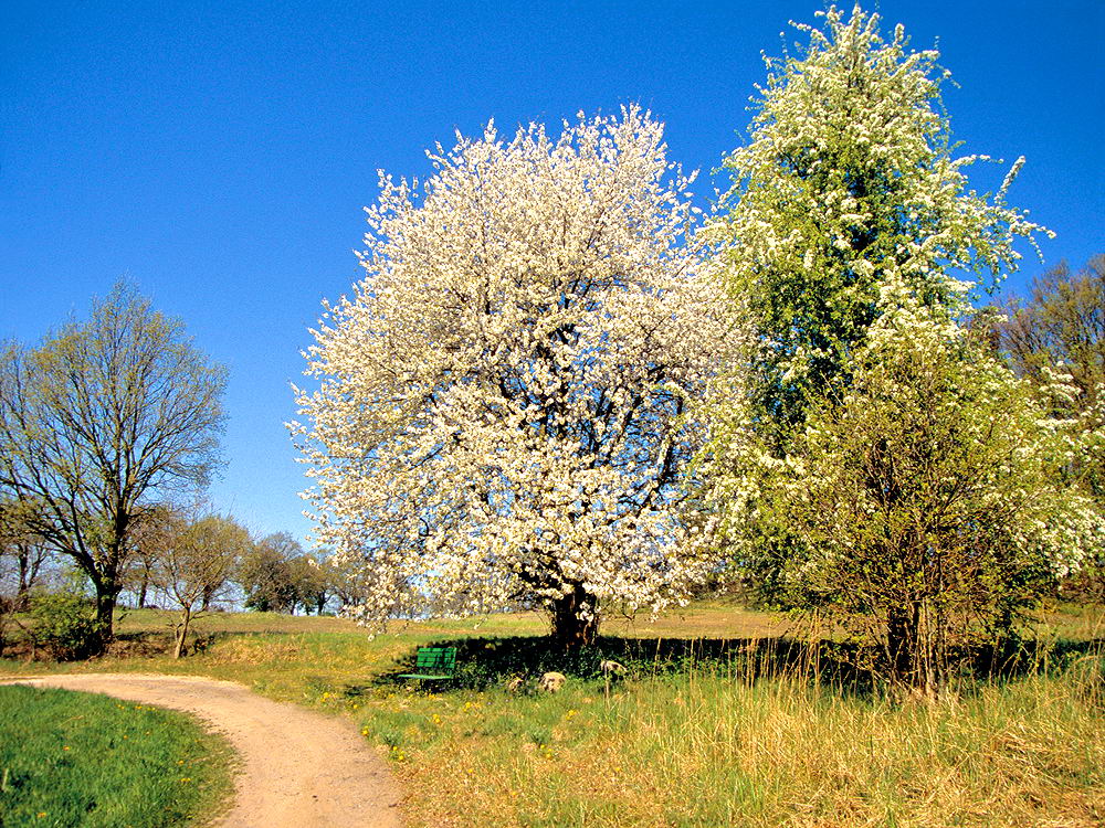 zur Übersicht Weg & Steg 6