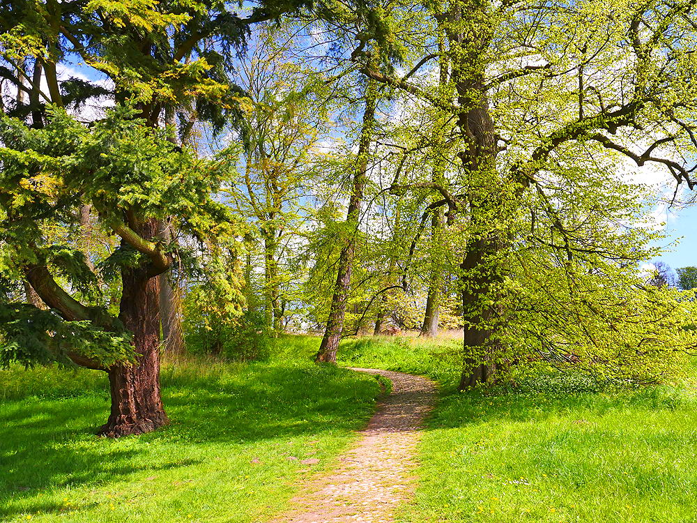 zur Übersicht Weg & Steg 6