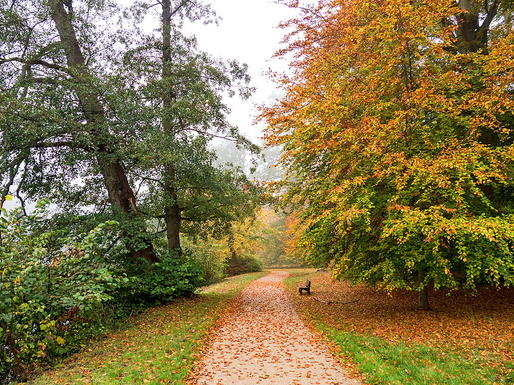 zur Übersicht Weg & Steg 7