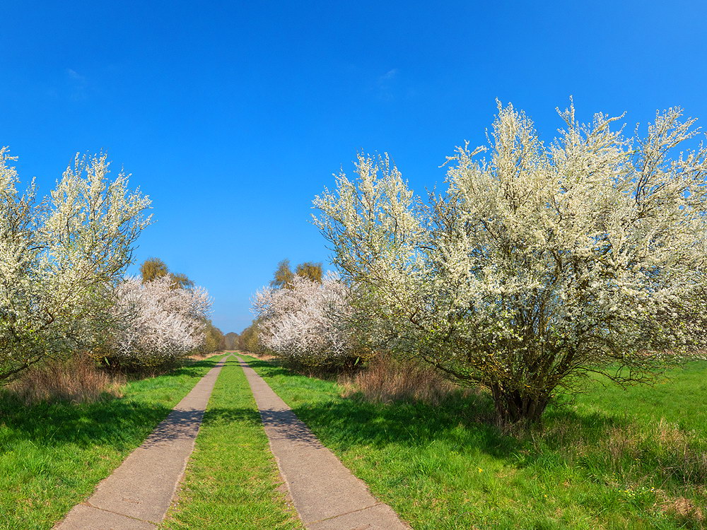 zur &Uuml;bersicht Weg & Steg 9