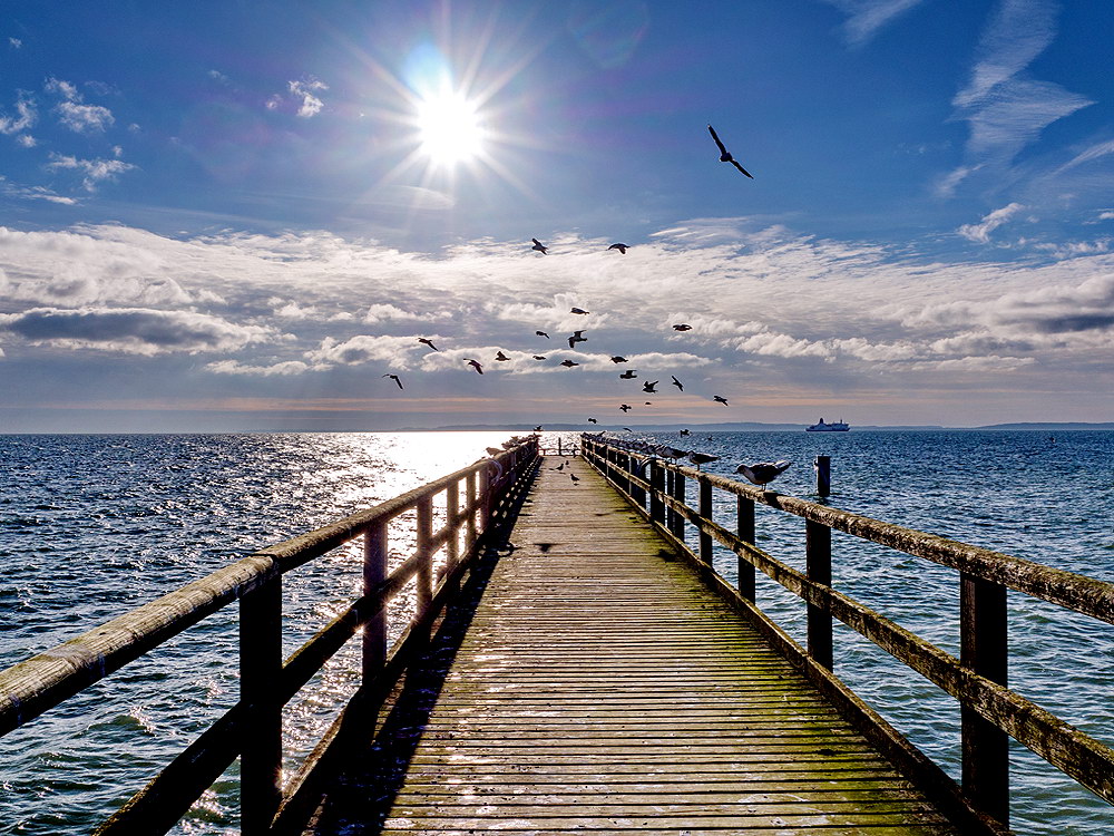 zur &Uuml;bersicht Weg & Steg 9