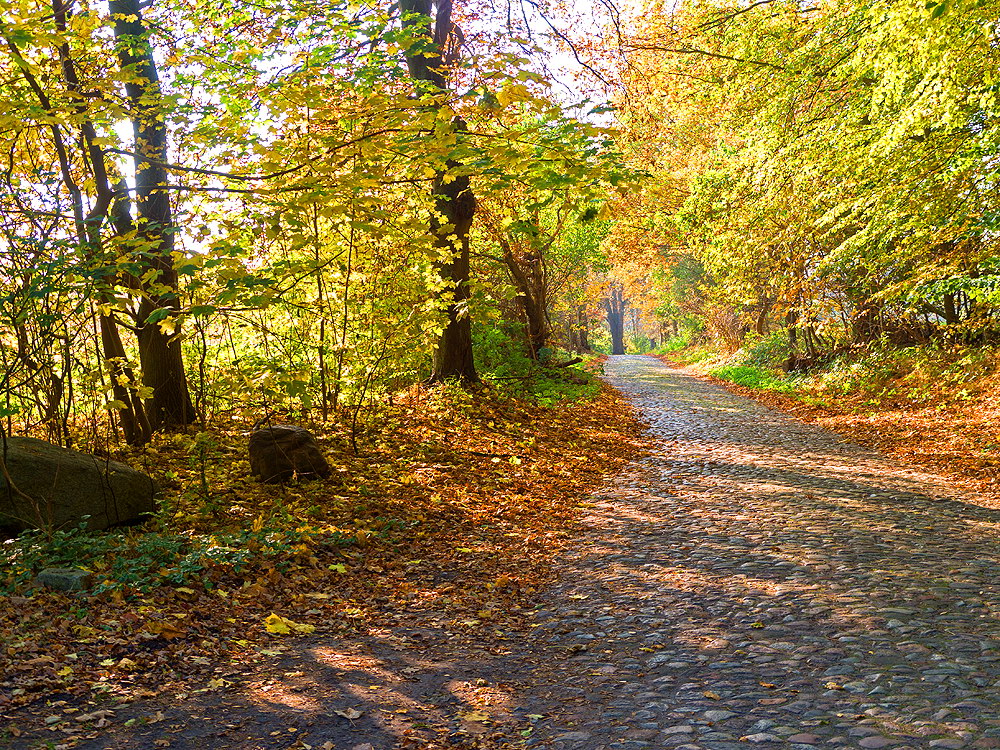 zur &Uuml;bersicht Weg & Steg 10