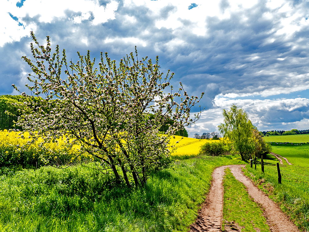 zur &Uuml;bersicht Weg & Steg 10