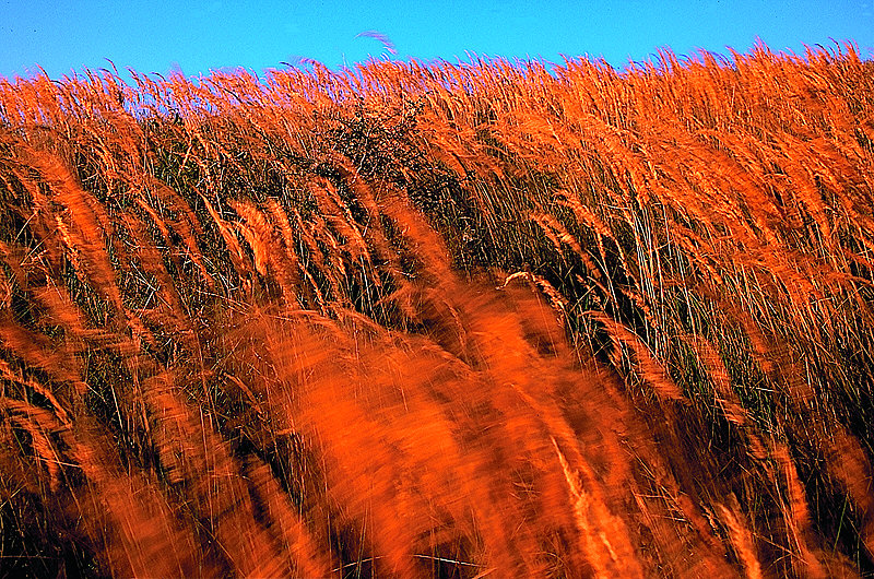 zur Übersicht Wind