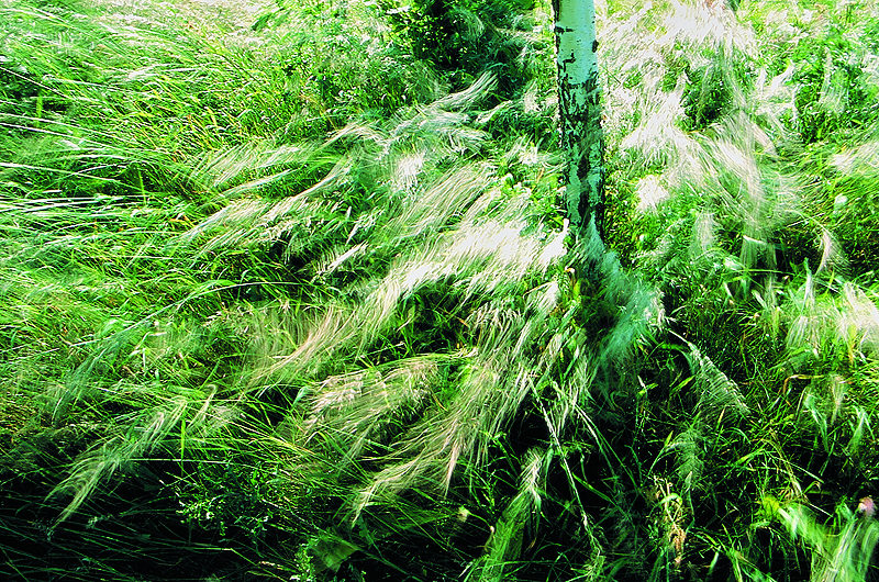 zur Übersicht Wind