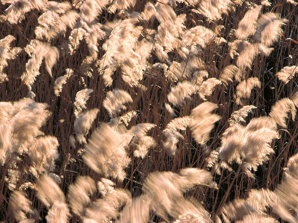 zur Übersicht Wind 2