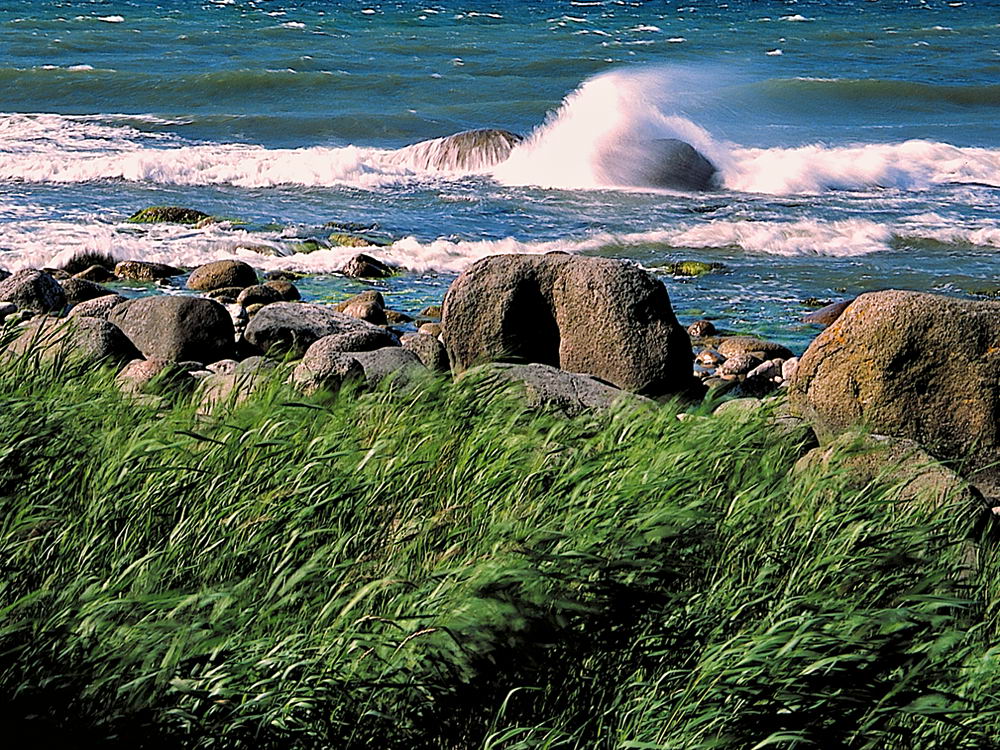 zur Übersicht Wind 2