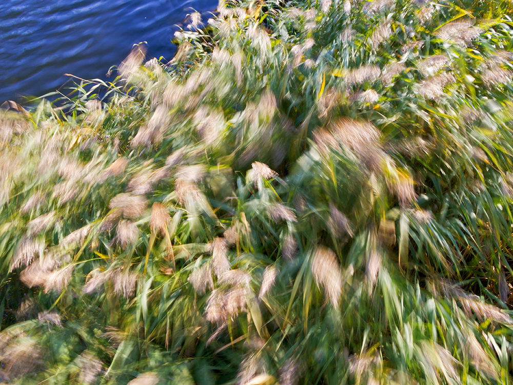 zur Übersicht Wind 2