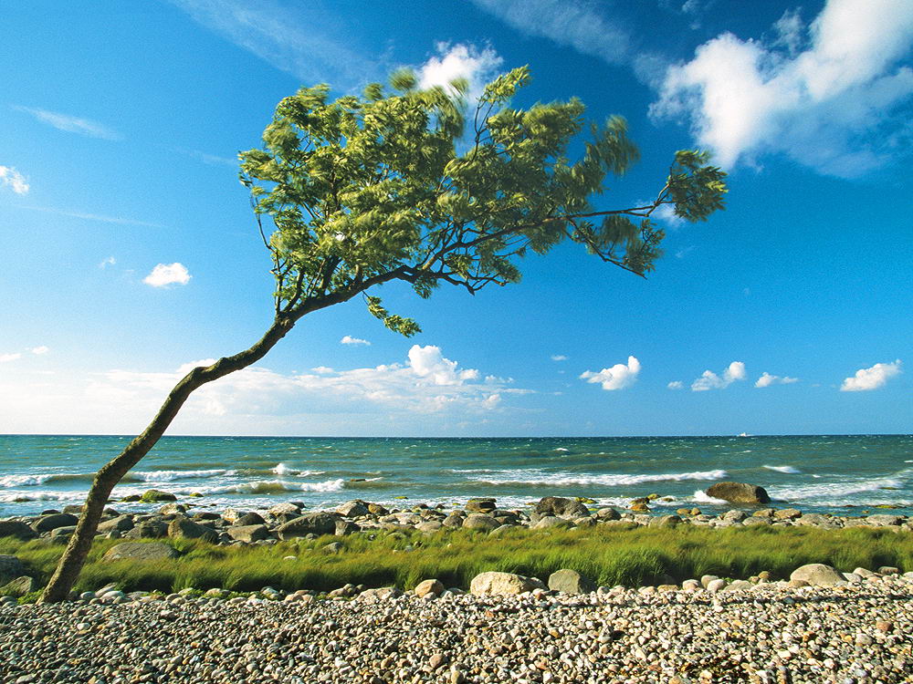 zur Übersicht Wind 2