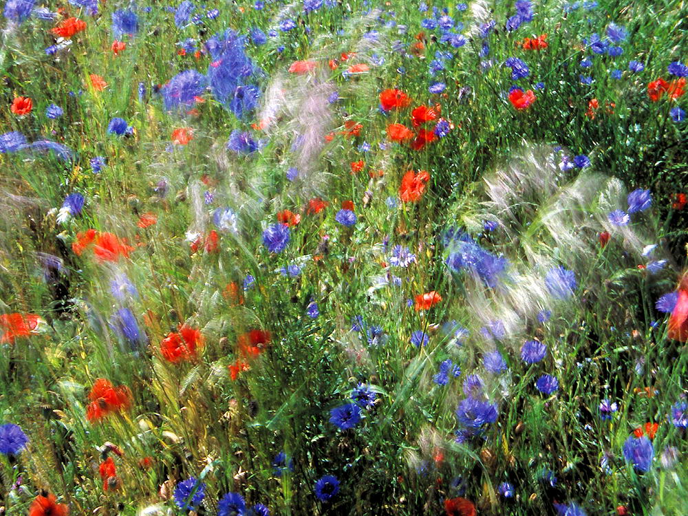 zur Übersicht Wind 2