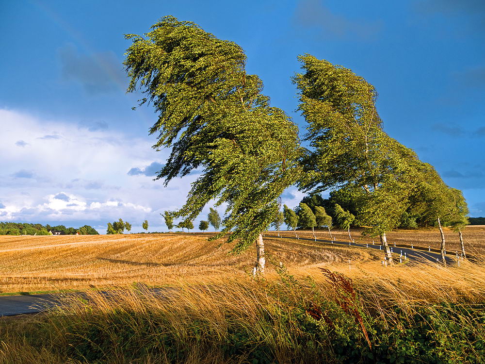zur Übersicht Wind 2