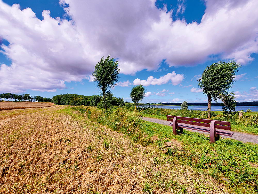 zur Übersicht Wind 2