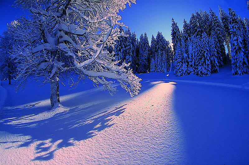 zur Übersicht Winterzauber