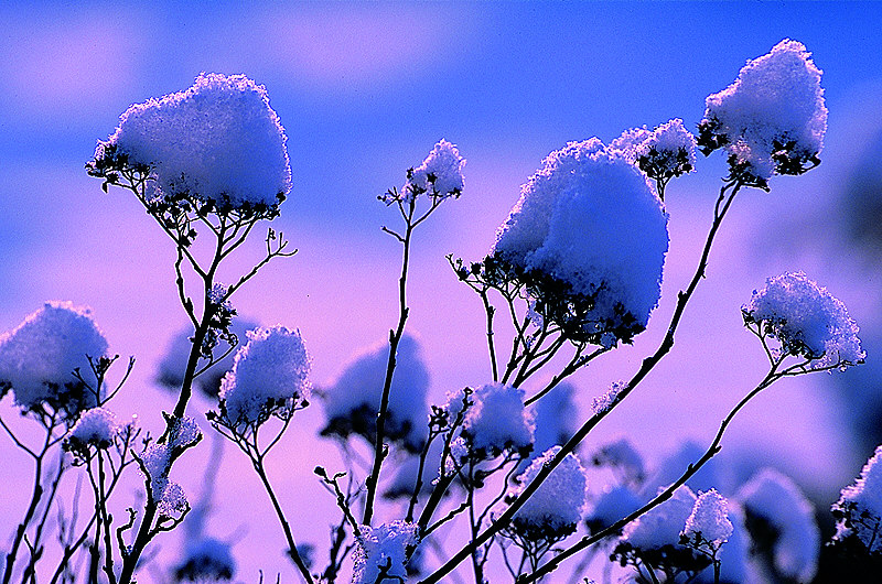 zur Übersicht Winterzauber