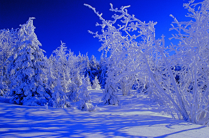 zur Übersicht Winterzauber 2