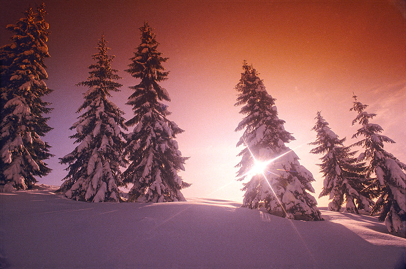 zur Übersicht Winterzauber 2