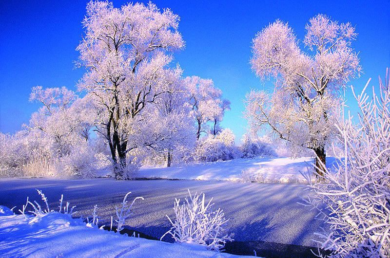 zur Übersicht Winterzauber 2