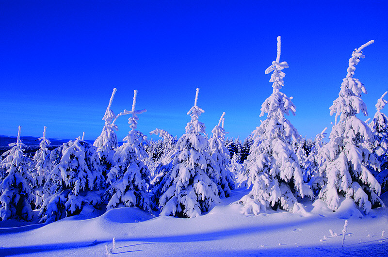 zur Übersicht Winterzauber 3