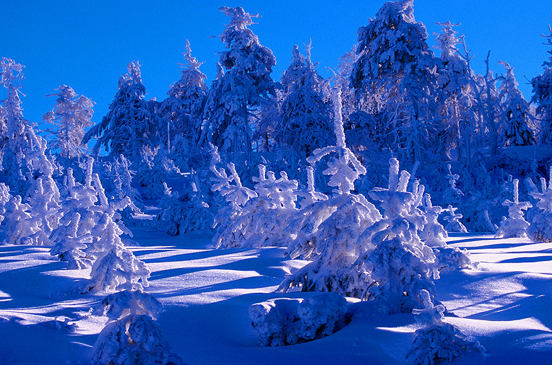 zur Übersicht Winterzauber 3