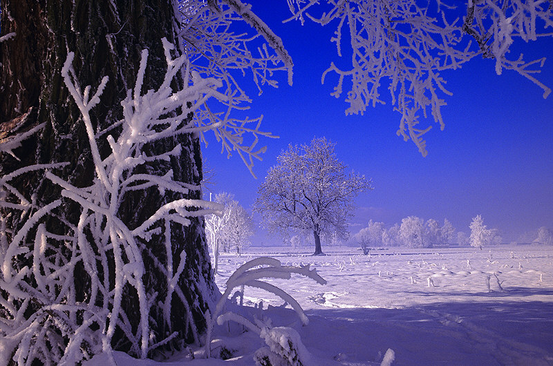 zur Übersicht Winterzauber 4