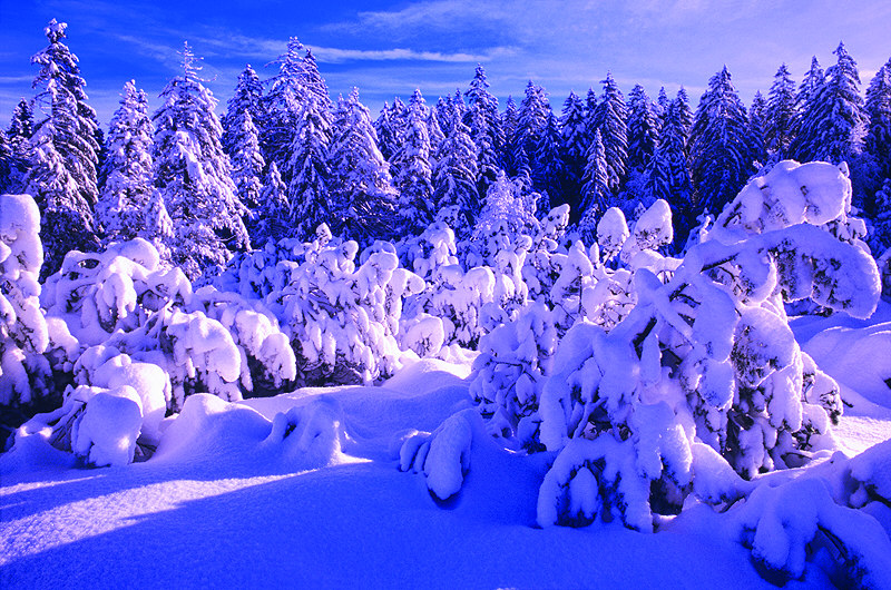 zur Übersicht Winterzauber 4