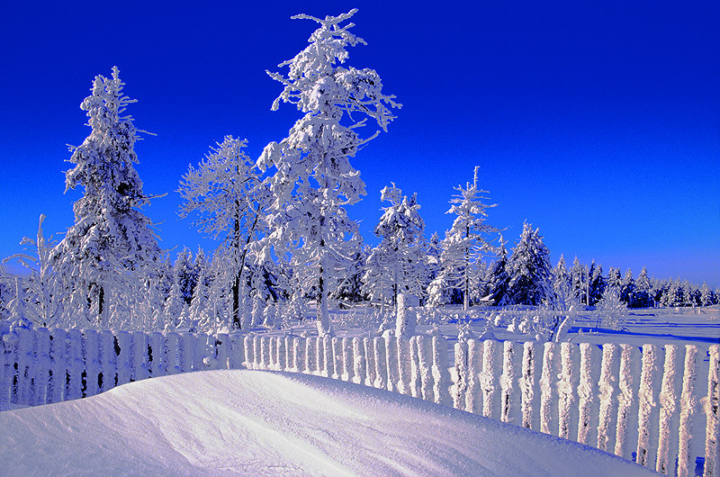 zur Übersicht Winterzauber 4