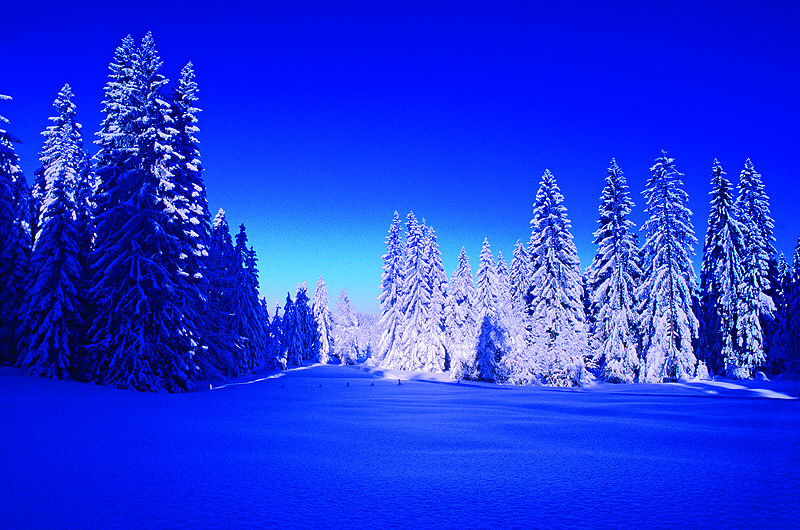 zur Übersicht Winterzauber 4