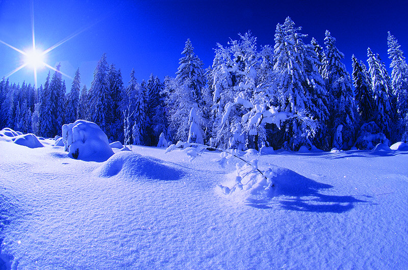 zur Übersicht Winterzauber 4