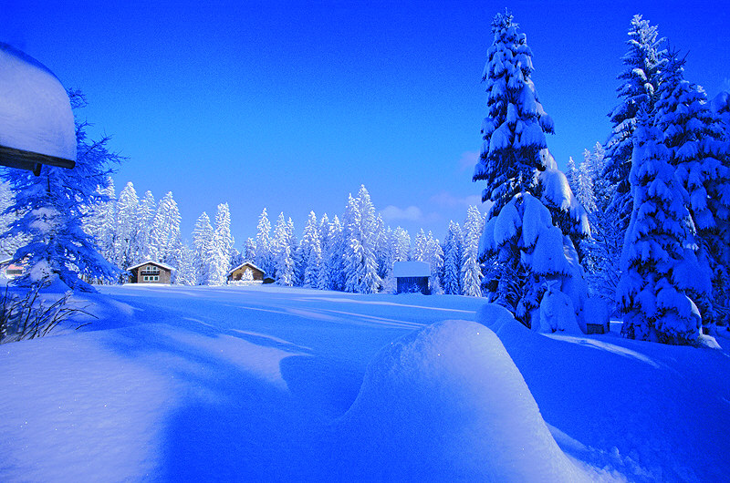 zur Übersicht Winterzauber 4