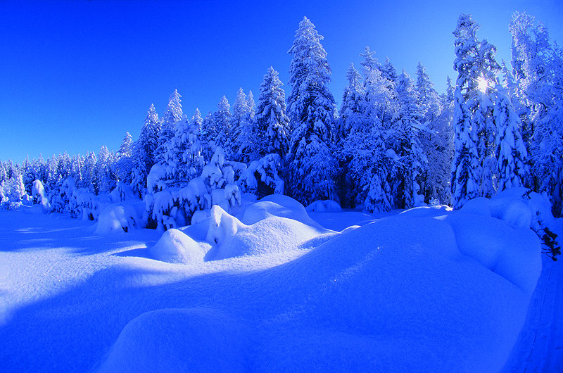 zur Übersicht Winterzauber 4