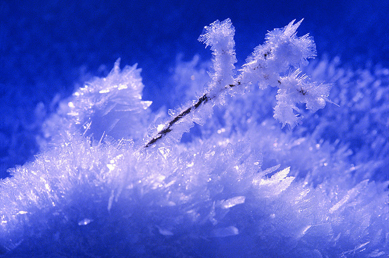 zur Übersicht Winterzauber 5