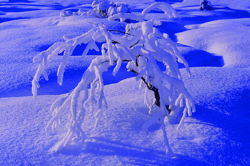 zur Übersicht Winterzauber 5