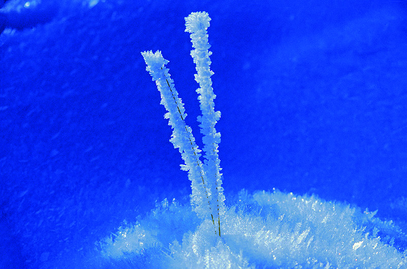 zur Übersicht Winterzauber 5
