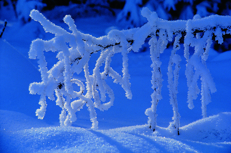zur Übersicht Winterzauber 5