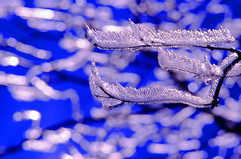 zur Übersicht Winterzauber 6