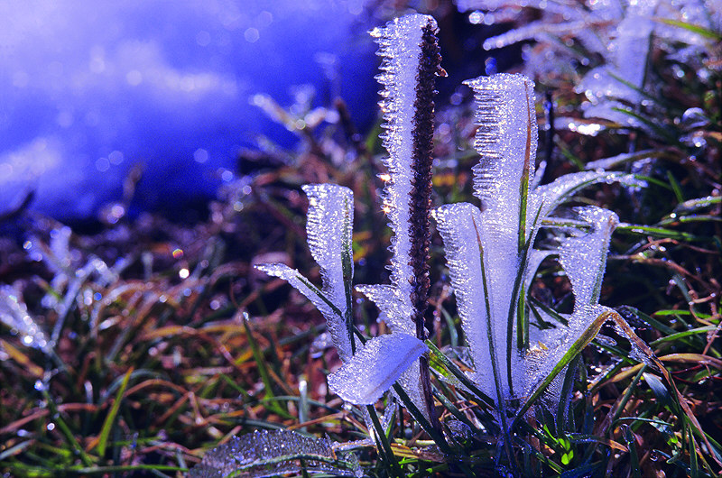 zur Übersicht Winterzauber 6