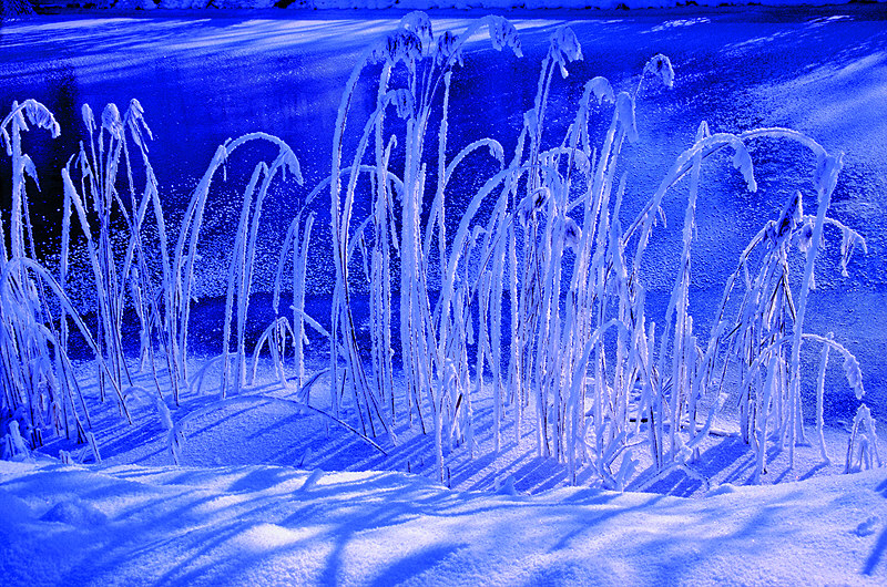 zur Übersicht Winterzauber 6