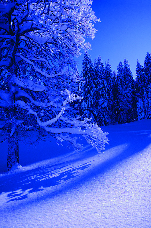 zur Übersicht Winter 7