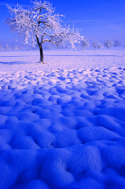 zur Übersicht Winter 7