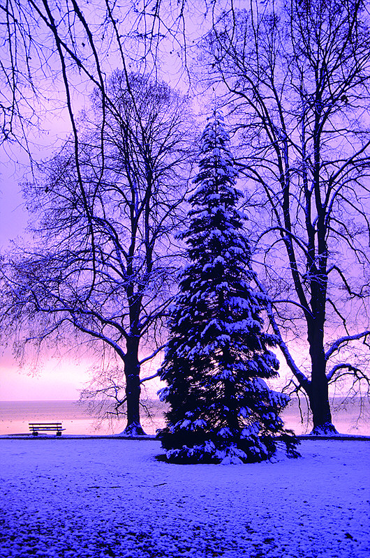 zur Übersicht Winter 7