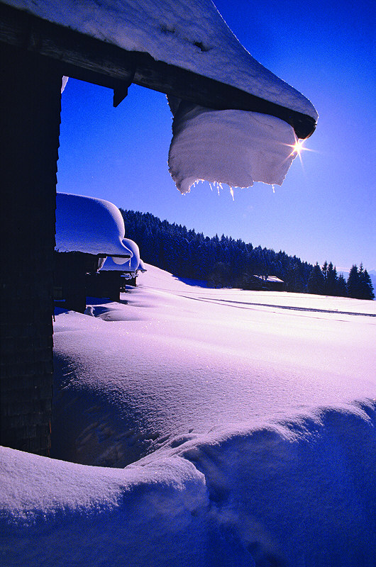 zur Übersicht Winter 7